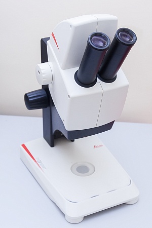 стереомикроскоп